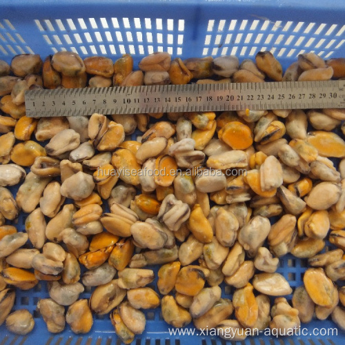 small, medium, large mussel meat for hot sale